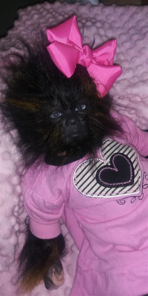 Reborn Hybrid Dolls Mythical Animal Dog Monkey Avatars Reborn