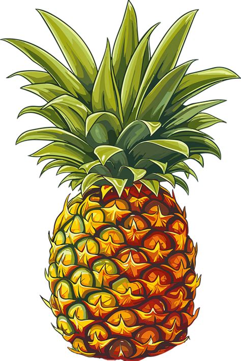 Download Pineapple Fruit Sweet Royalty Free Vector Graphic Pixabay