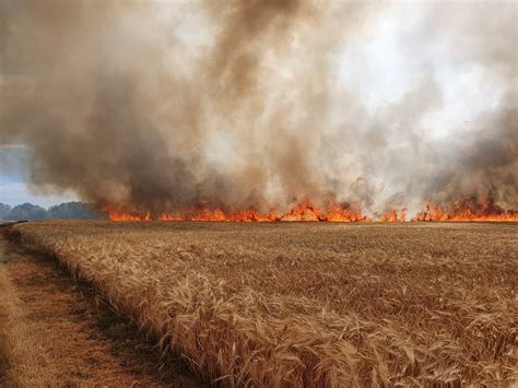 Wildfires And Agriculture Early Fire Detection With Ai Exci