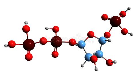 3D Image of Phosphoribosyl Pyrophosphate Skeletal Formula Stock ...