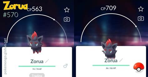 Zorua - Pokemon Go