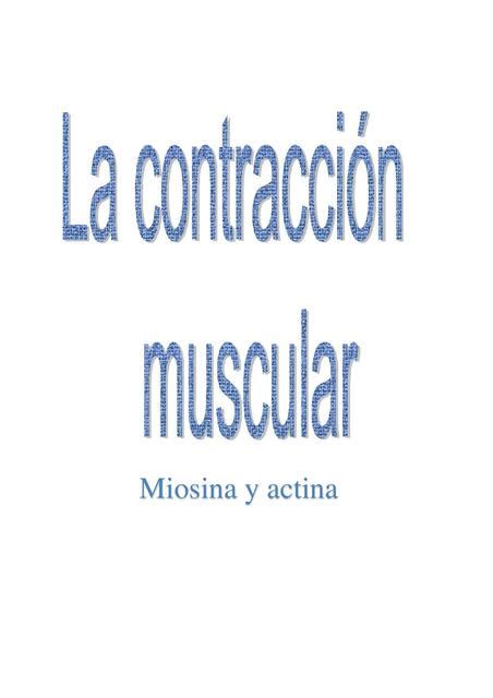 La Contracci N Muscular Miosina Y Actina Biolog A General Udocz