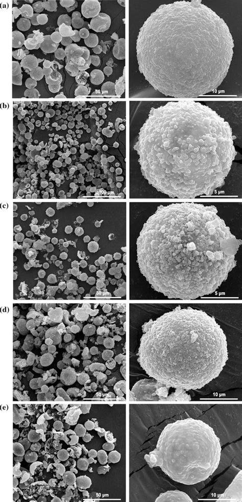 Sem Micrographs Of Various Silicone Oil Microcapsule Samples A S1 B Download Scientific