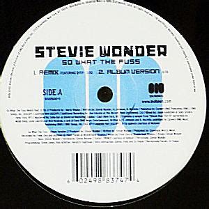 STEVIE WONDER FT Q TIP 12 SO WHAT THE FUSS DJ機材アナログレコード専門店OTAIRECORD