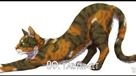 Top 10 Most Beautiful Warrior Cats She Cats Youtube