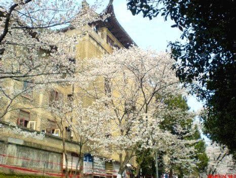 Wuhan University Campus scenery • China Admissions