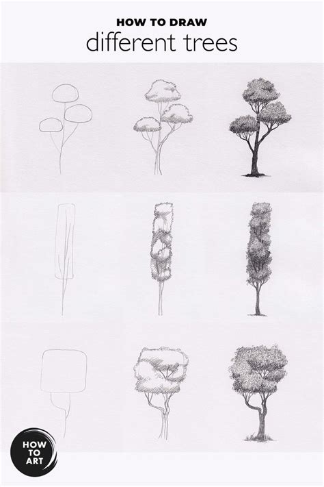 How To Draw Trees In 3 Steps Tree Drawing Tree Drawing Simple One