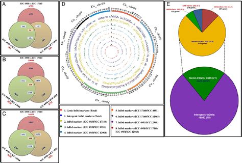 Figure From Genome Wide Insertiondeletion Indel Marker Discovery