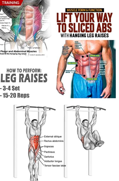 leg lifts  abs