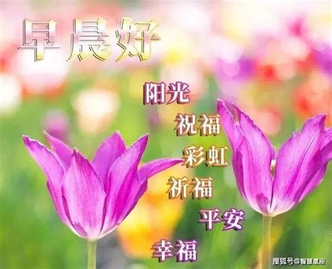 7月25日微信最新版清早早上好动画图片，早上好唯美祝福图片带字_人生