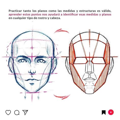 An Image Of A Man S Head With Different Angles And Lines On The Face