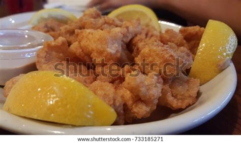 Fried Alligator Stock Photo 733185271 Shutterstock