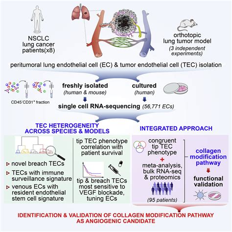 An Integrated Gene Expression Landscape Profiling Approach To Identify