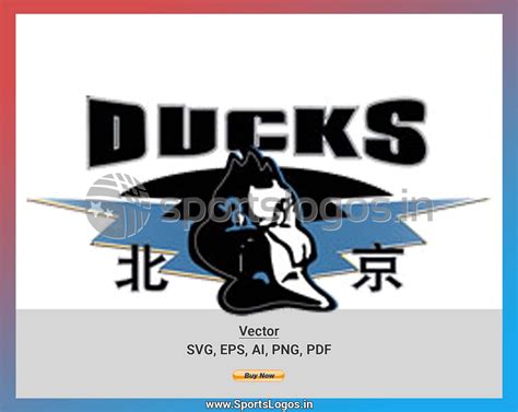 Beijing Ducks - 1995/96, Chinese Basketball Association, Basketball ...