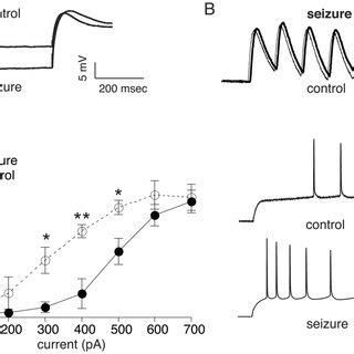 Downregulation Of HCN Channel Gating Following In Vitro Seizure Like