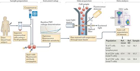 Cell Preparation for Flow Cytometry - Creative Biolabs