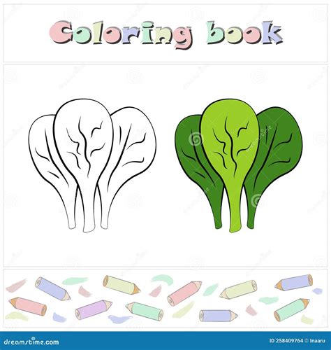 Spinach A Page Of A Coloring Book With A Colorful Vegetables And A