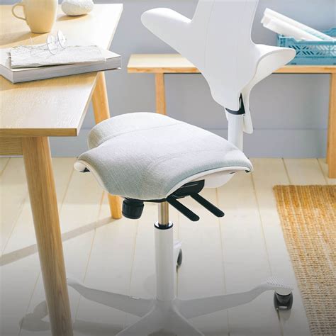 Posturite Ergonomic Home Office Furniture Equipment