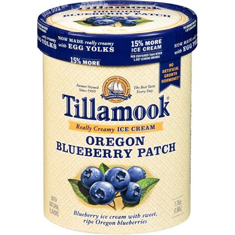 Tillamook Oregon Blueberry Patch Ice Cream 175 Qt Instacart