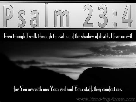 Psalm 23:4 The Valley Of The Shadow Of Death (gray)