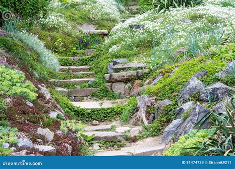 Stone Steps And Beautiful Flowers Stock Image Image Of Path