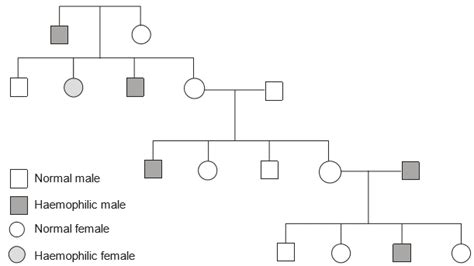 Haemophilia Is A Sex Linked Recessive Disorder Of Humans The Pedigree