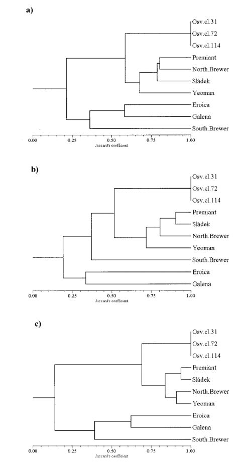 The Dendrograms Of Individual Hop Varieties Revealed By Upgma Cluster