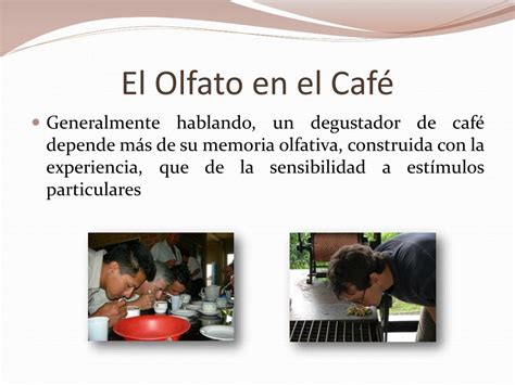 PPT Introducción al Análisis Olfativo del Café PowerPoint