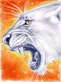 Lioness Roar by Evey Studios