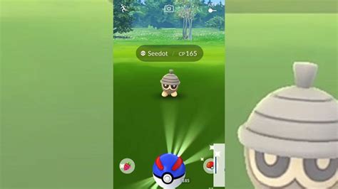 How to catch Shiny Seedot in Pokemon GO - Media Referee