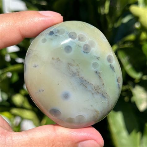 Extra Quality Th Vein Jelly Ocean Jasper Palmstone Metaphysical