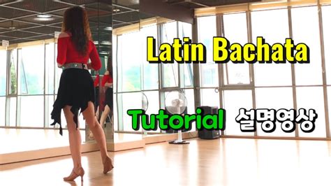 Teach 티칭영상 Latin Bachata 라틴 바차타 YouTube