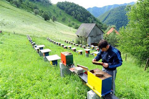 Čebelarstvo v Sloveniji način življenja vpisano na Unescov seznam