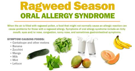 Ragweed Allergy Symptoms And Treatment