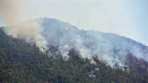 Hay Incendios Forestales Activos En Nueve Estados Del Pa S Mvs