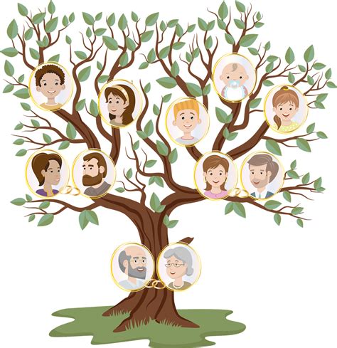 Arbol Genealogico Dibujo De Un Arbol Genealogico Ideas | The Best Porn ...