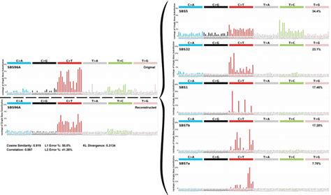 Paired Comparisons Of Mutational Profiles Before And After