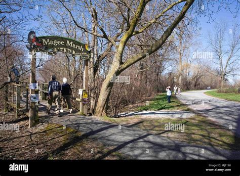 MAGEE MARSH, OAK HARBOR OHIO, May1, 2018: Early birders walking the Magee Marsh boardwalk, "The ...