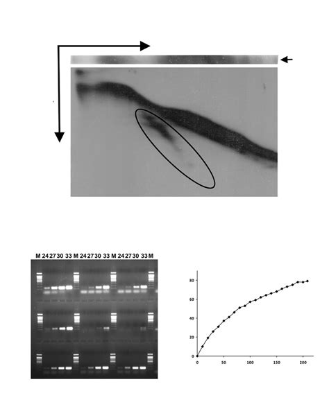 Preparation And Characterization Of The Library Of Ctcf Binding