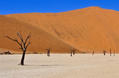 Namibia 07 Dead Vlei Namibia Landschaftsfotograf David Köster