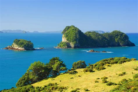 Northern Coromandel Overnight Fishing Adventure — Ultimate Charters