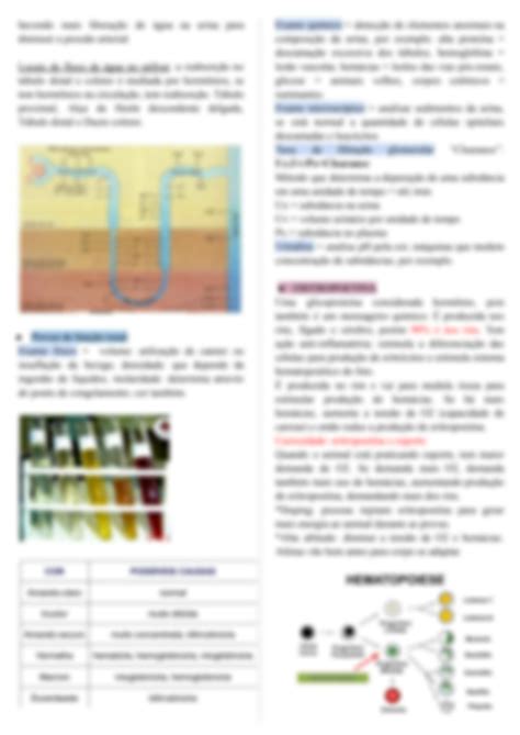 Solution Fisiologia Do Sistema Renal Medicina Veterin Ria Studypool