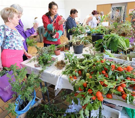 Petite Rosselle Jardins Ouvriers bourse et échange de graines et