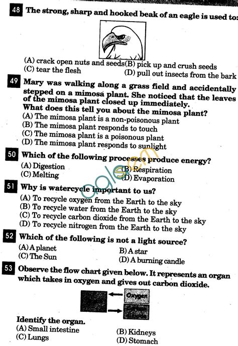 Nstse Solved Question Paper For Class Iii Science Aglasem Schools