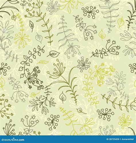 Botanical Seamless Pattern Stock Vector Illustration Of Fashion 28725428