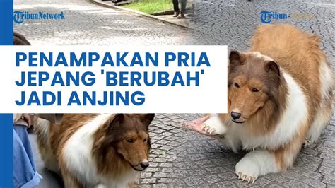 Penampakan Perdana Pria Jepang Toco Yang Berubah Jadi Anjing Rela