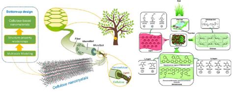 Gambar 4. Struktur selulosa, hemiselulosa, dan lignin... | Download ...