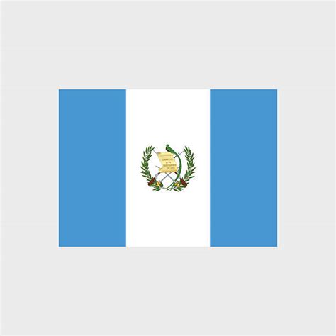 120+ Guatemala Quetzal Stock Illustrations, Royalty-Free Vector Graphics & Clip Art - iStock