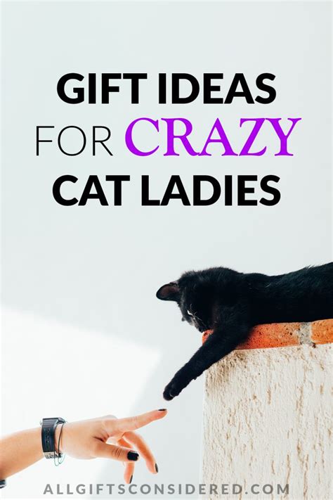 35 Best Crazy Cat Lady Gift Ideas [No Kitten Around] » All Gifts Considered