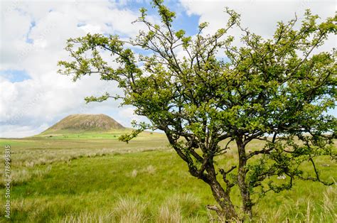 Slemish Mountain Hill County Antrim Northern Ireland A Plug Of